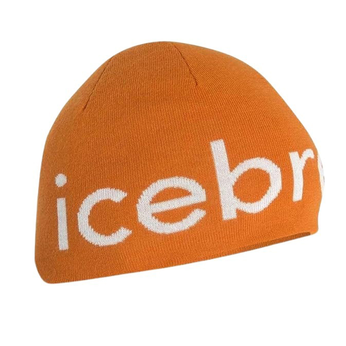 Icebreaker - Tuque en mérinos Icebreaker unisexe