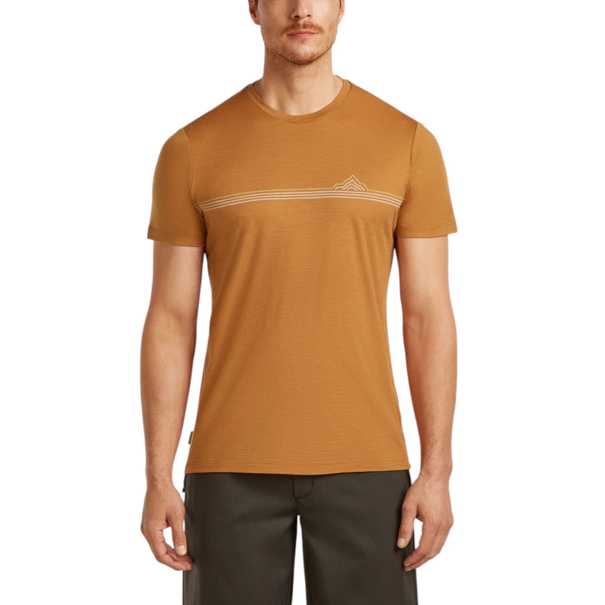 Icebreaker - Men's Merino 150 Tech Lite Short Sleeve Tee Range Stripes