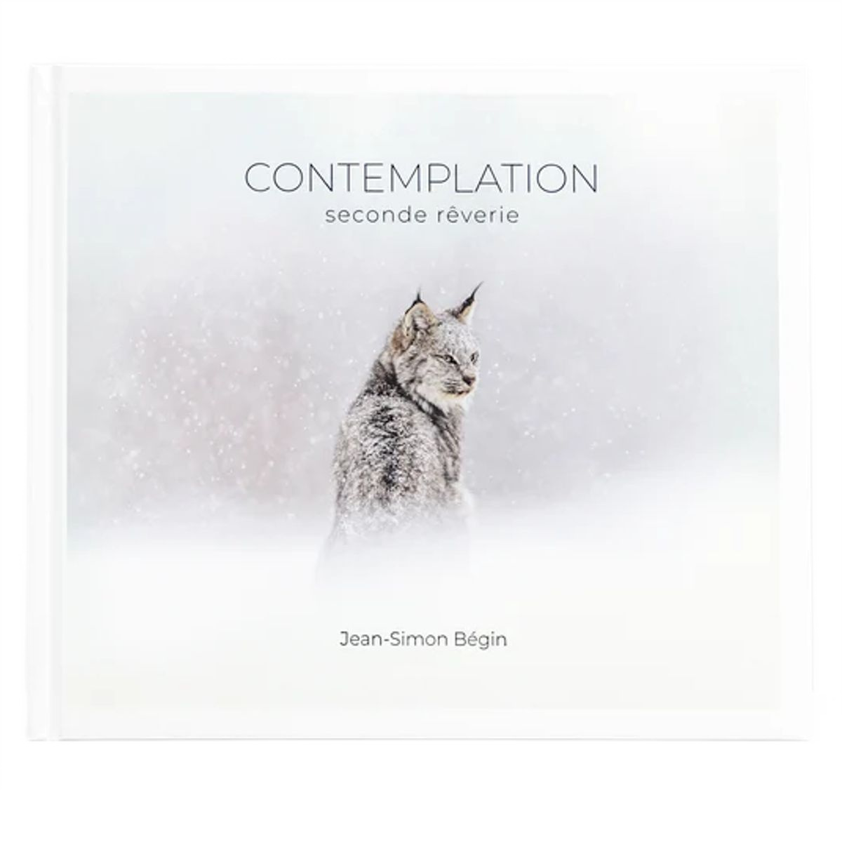 Jean-Simon Bégin - Contemplation II