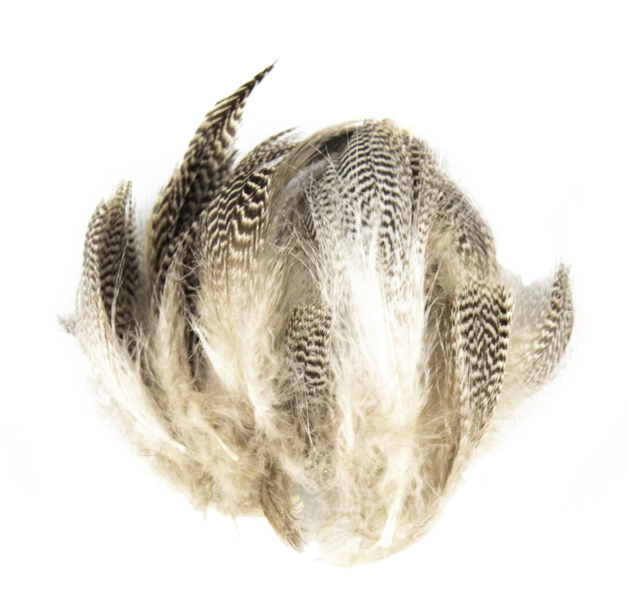 SHOR Fishing - Teal Duck Flank Feathers