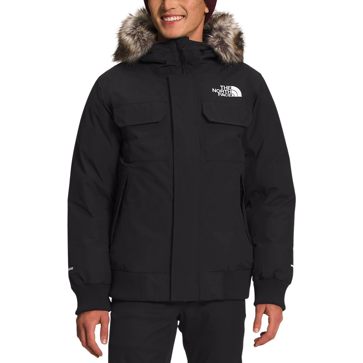 Manteau hiver discount north face homme