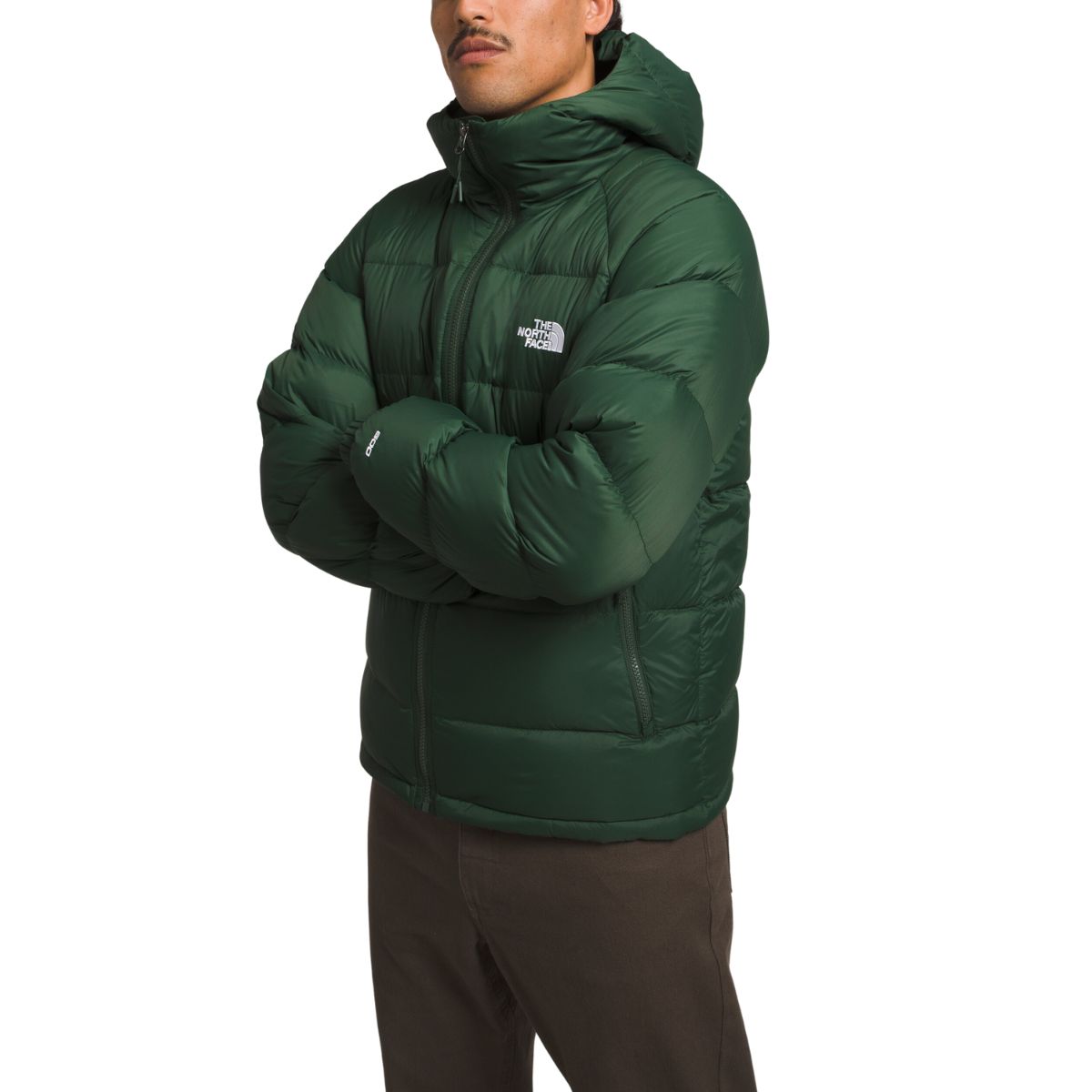 North face best sale long hooded coat