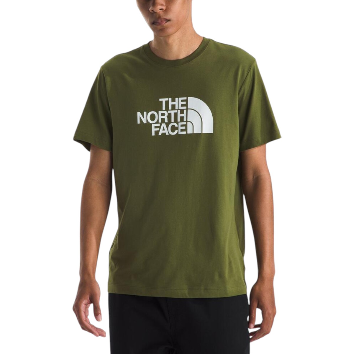 The North Face - T-shirt à manches courtes Core Half Dome pour homme