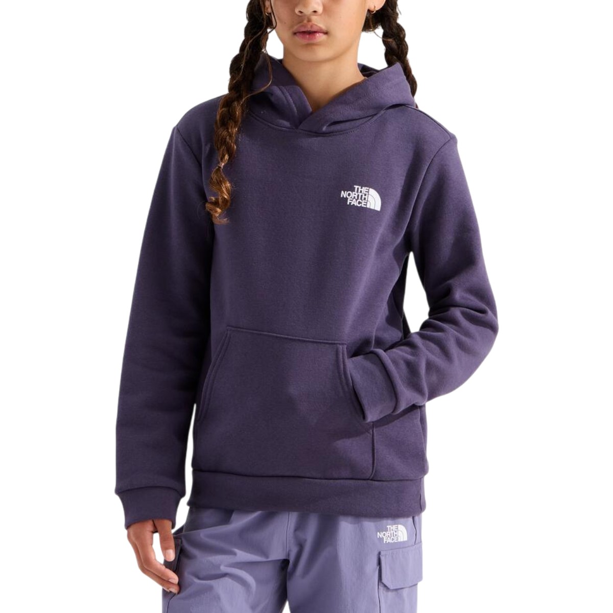 The North Face - Teens Evolution Box NSE Pullover Hoodie Graphic
