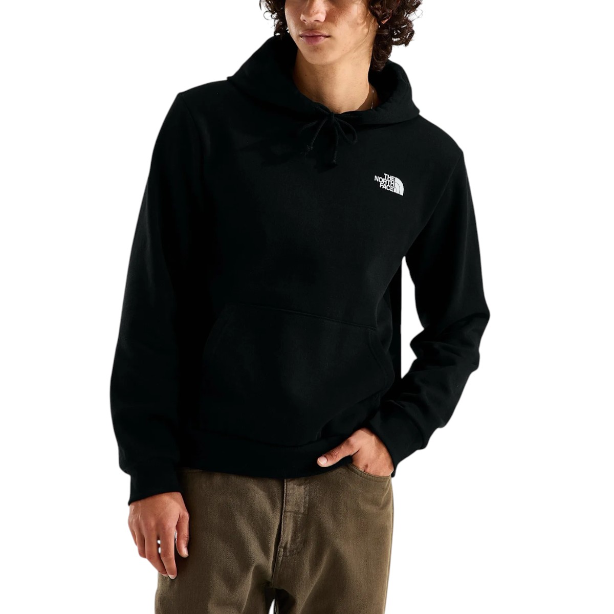 The North Face - Chandail à capuchon Evolution Light Print Box NSE pour homme