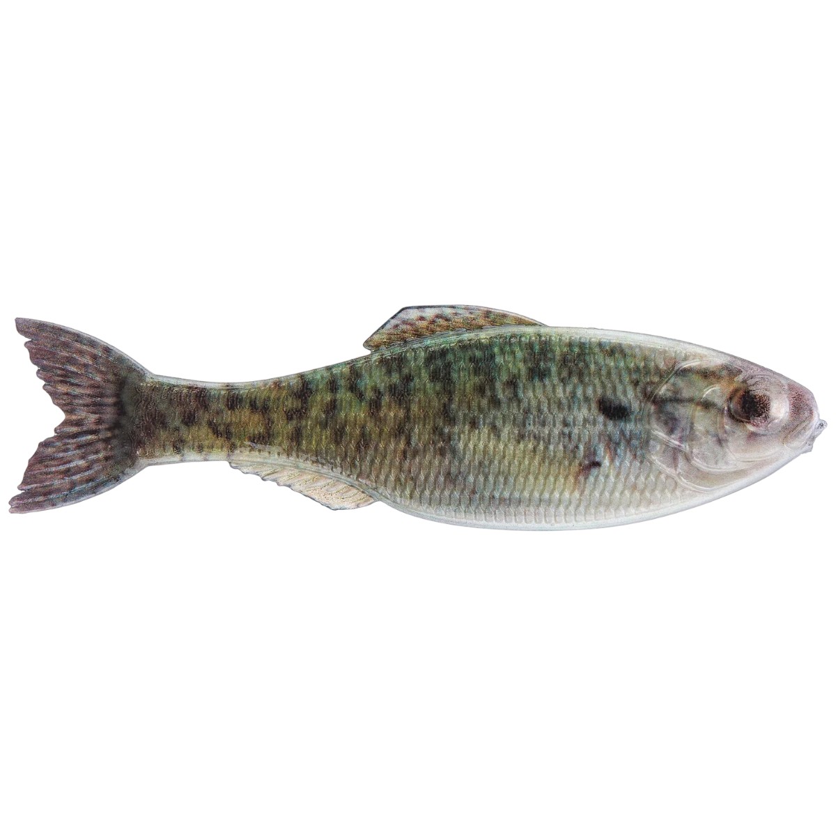 6th Sense - Leurre souple Panorama Shad - 2.8''