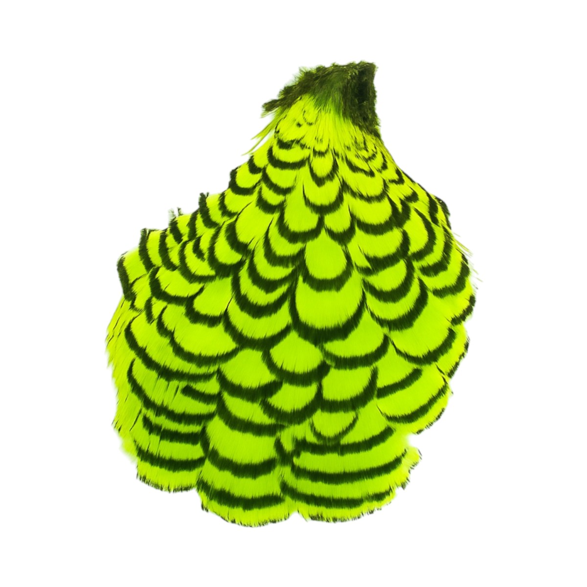 Serge Boulard Inc. - Amherst #1 Pheasant Head