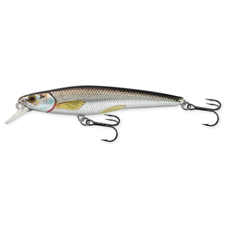 Live Target - Poisson nageur Rainbow Smelt RS-D - 2 ¾''