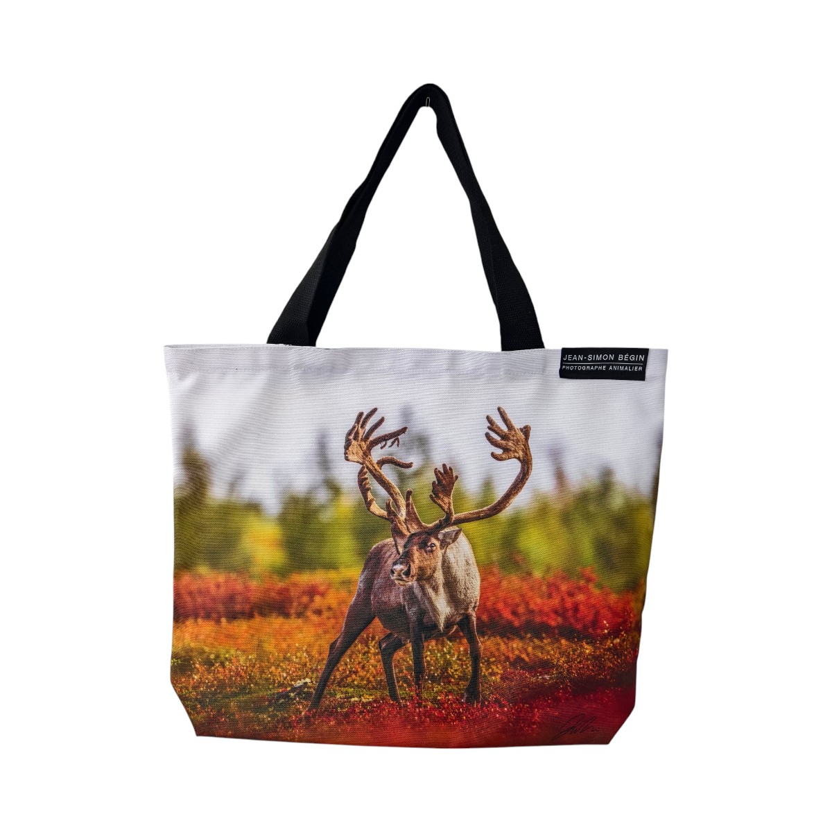 Jean-Simon Bégin - Cotton Reusable Bag