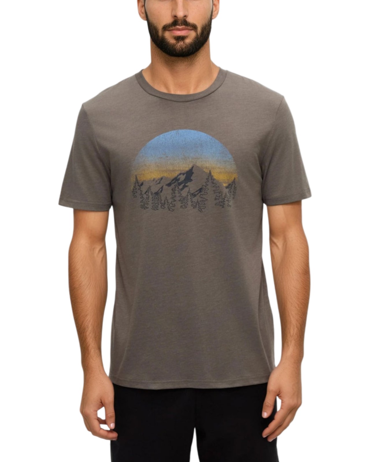 Tentree - Men's Vintage Sunset T-Shirt