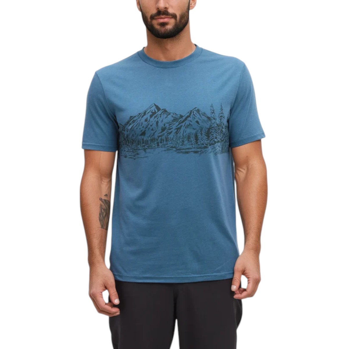Tentree - T-shirt Mountain Scenic pour homme