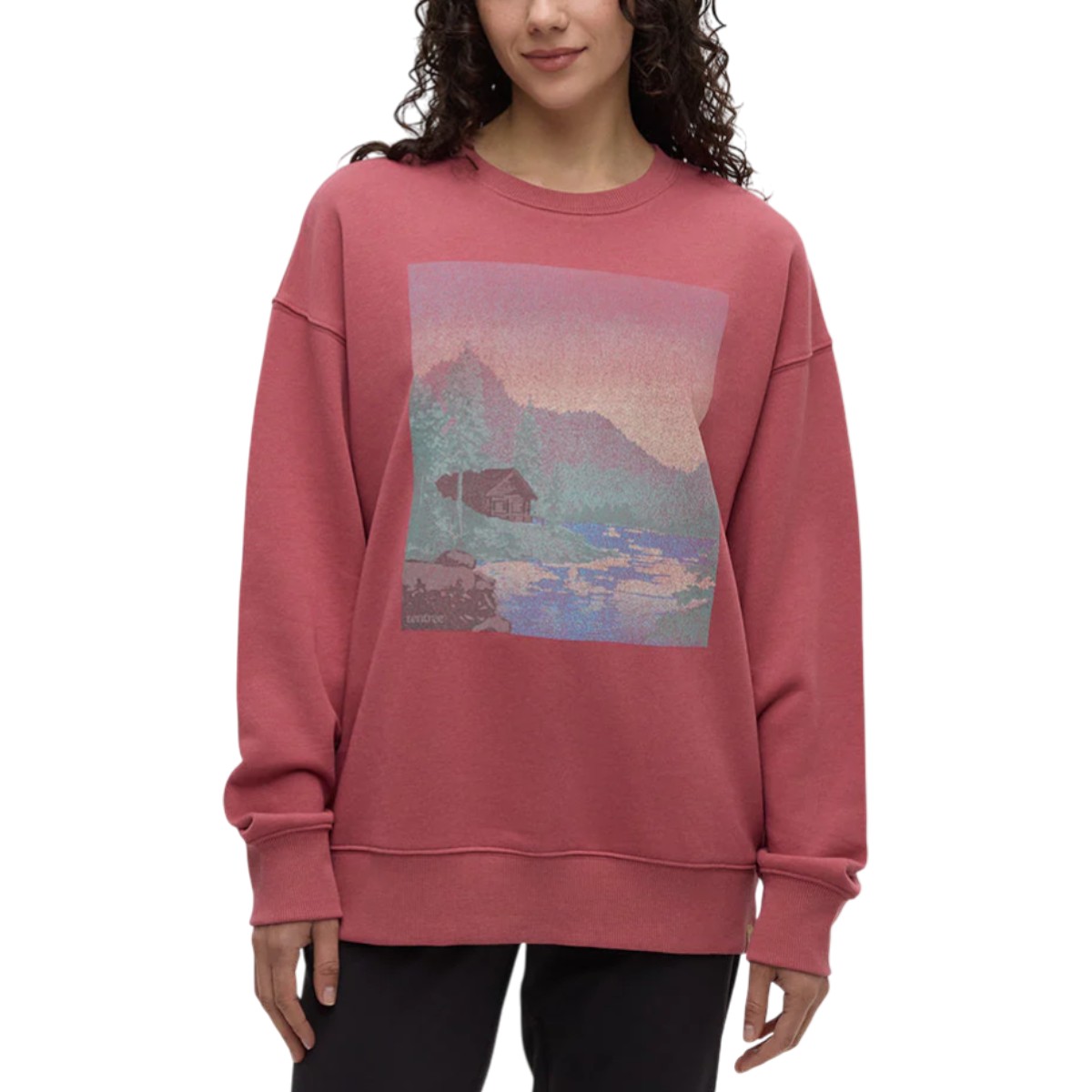 Tentree - Women's Washed Lakeshore Relaxed Crew Sweather