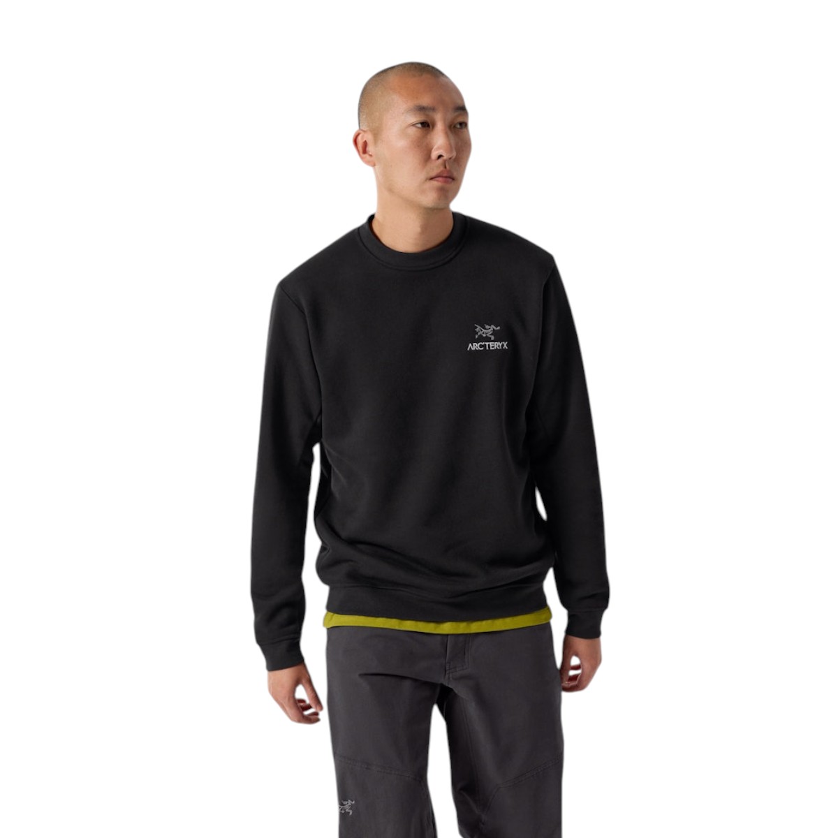 Arc'teryx - Chandail à col rond en polaire Emblem pour homme