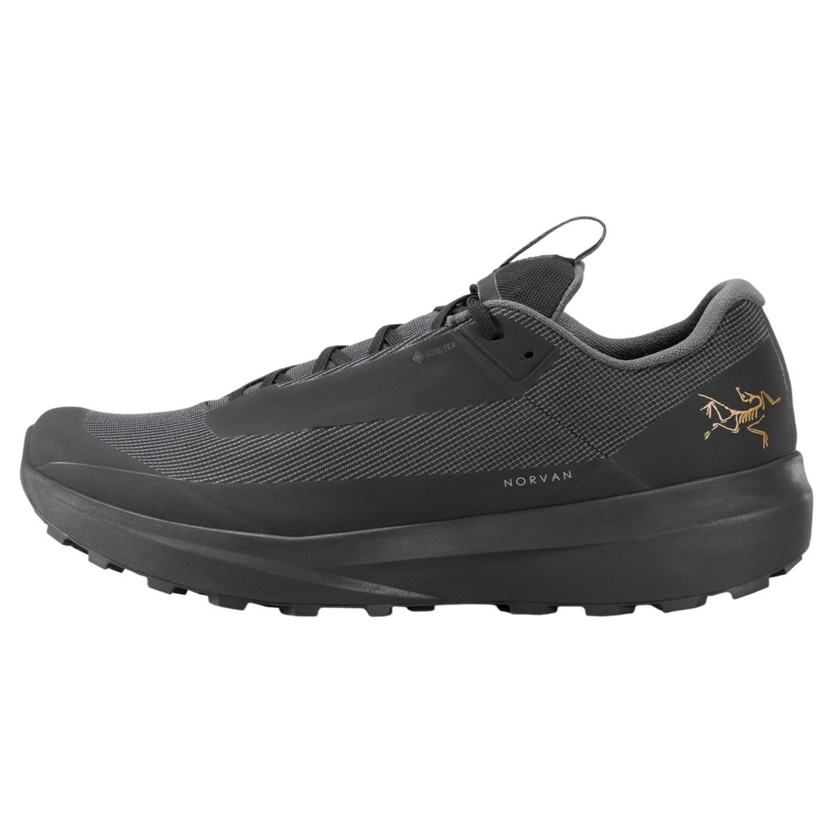 Arc'teryx - Men's Norvan LD 4 GTX Shoes