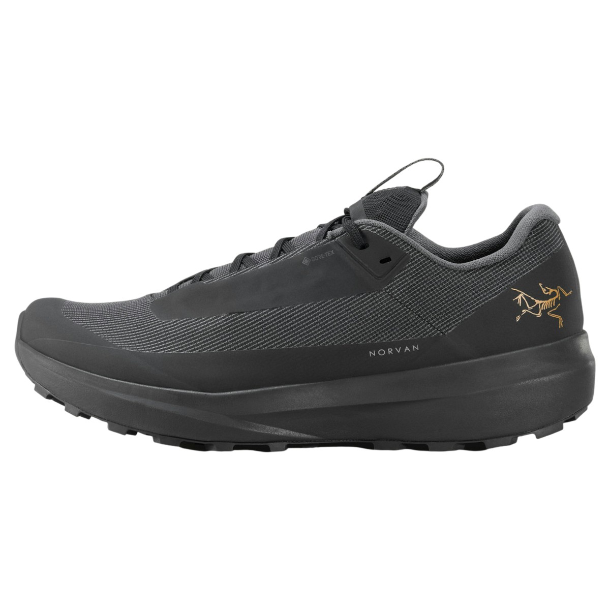 Arc'teryx - Women's Norvan LD 4 GTX Shoes