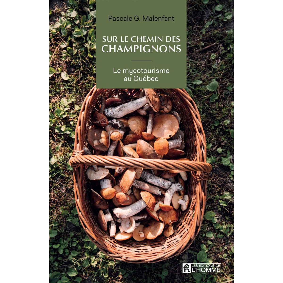 Éditions de l'Homme - Sur le chemin des champignons : Le mycotourisme au Québec