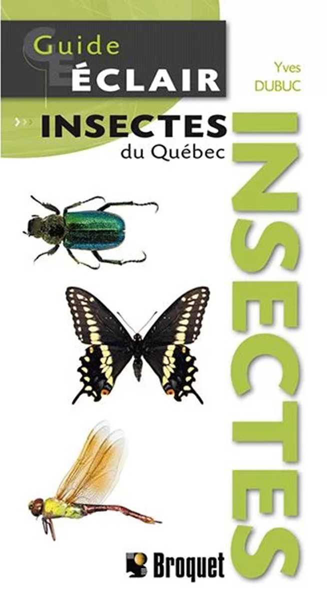 Broquet - Guide Éclair - Insectes du Québec