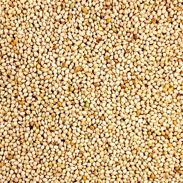Graines de millet blanc 2 kg - Maska Select