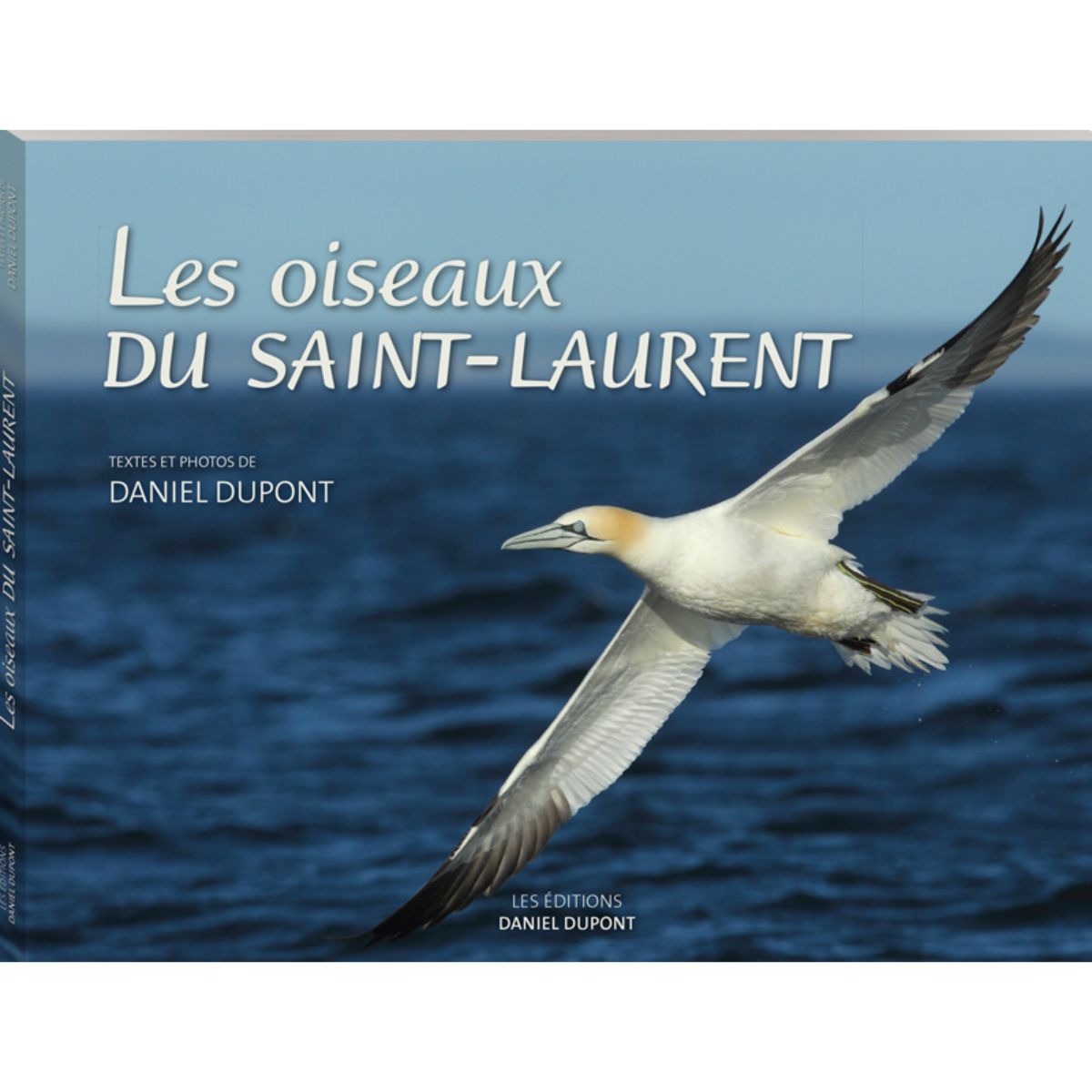 Daniel Dupont - Les oiseaux du Saint-Laurent