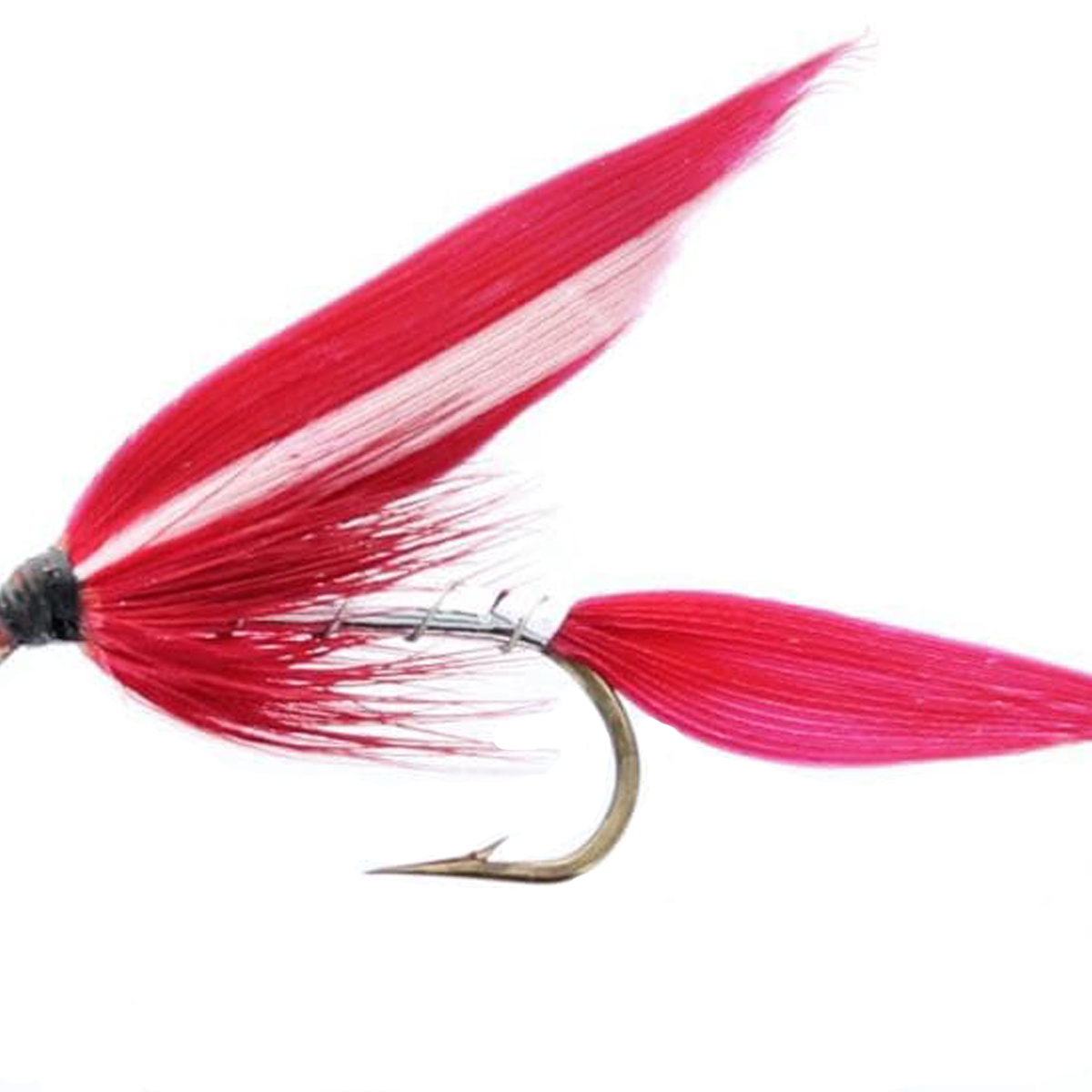 Etic - Drowned Flies Mounted on Nerf-Wet Montmorency #6
