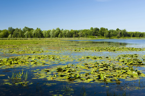 PLAISANCE, UN PARC NATIONAL UNIQUE