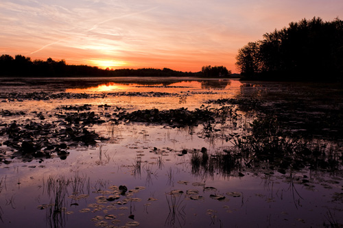PLAISANCE, UN PARC NATIONAL UNIQUE